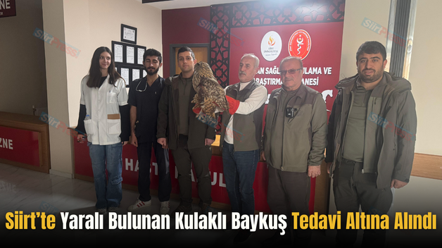 Siirt’te Yaralı Bulunan Kulaklı Baykuş Tedavi Altına Alındı