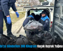 Siirt’ten Ordu’ya Gönderilen 300 Kilogram Kaçak Kuyruk Yağına El Konuldu