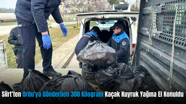 Siirt’ten Ordu’ya Gönderilen 300 Kilogram Kaçak Kuyruk Yağına El Konuldu