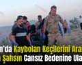 Şirvan’da Kaybolan Keçilerini Aramaya Çıkan Şahsın Cansız Bedenine Ulaşıldı