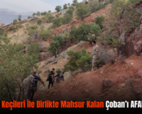 Şirvan’da Keçileri İle Birlikte Mahsur Kalan Çoban’ı AFAD Kurtardı