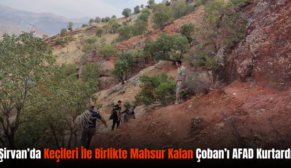 Şirvan’da Keçileri İle Birlikte Mahsur Kalan Çoban’ı AFAD Kurtardı