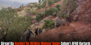 Şirvan’da Keçileri İle Birlikte Mahsur Kalan Çoban’ı AFAD Kurtardı